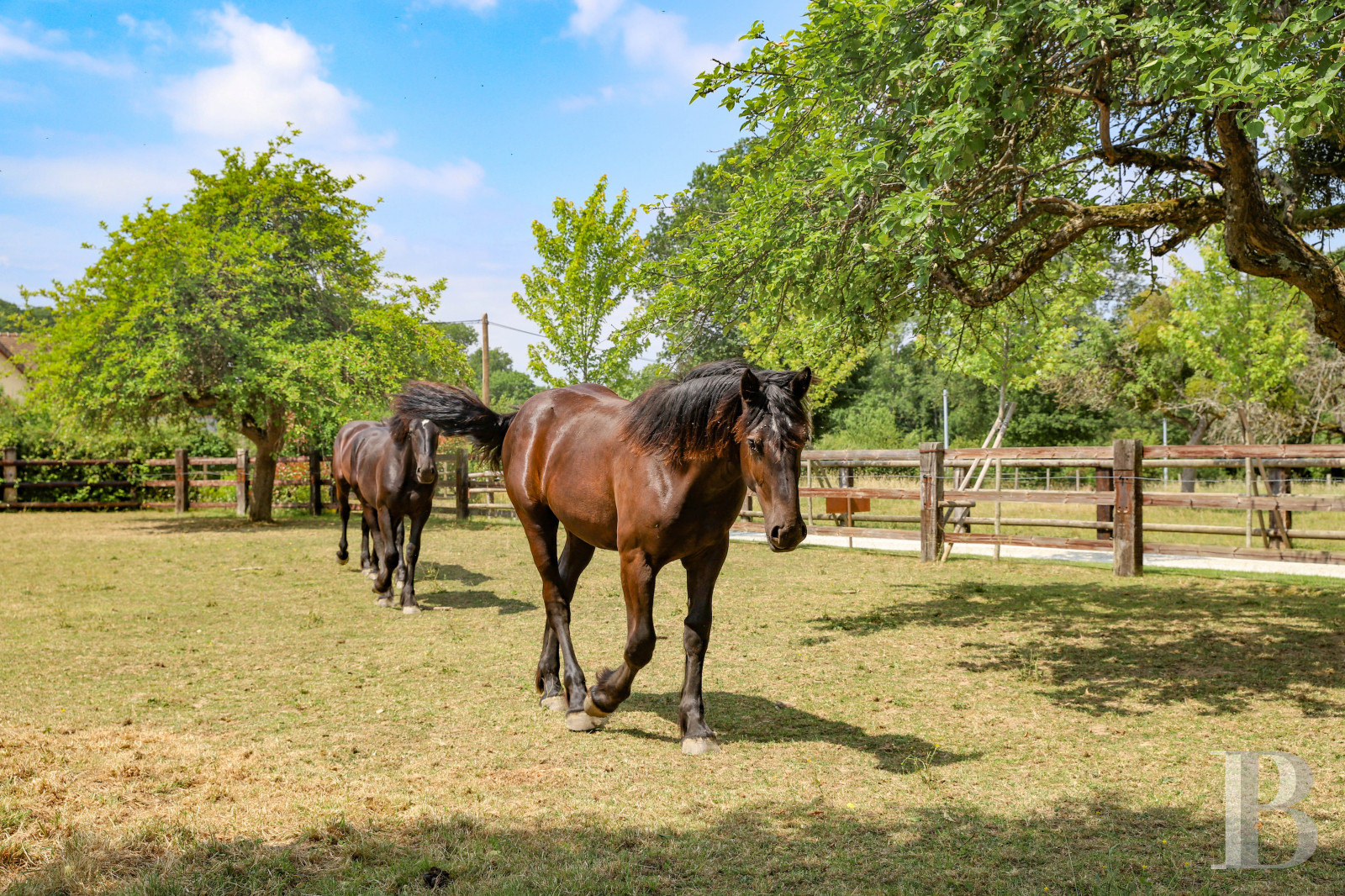 A former 18th century farmhouse with carefully renovated outbuildings on the edge of a forest in Perche - photo  n°3